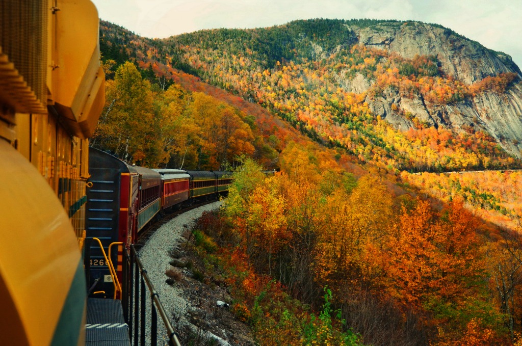 notch-train